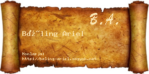 Báling Ariel névjegykártya